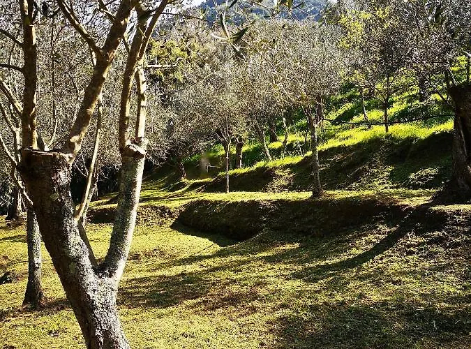 Casa Verziere 펜션